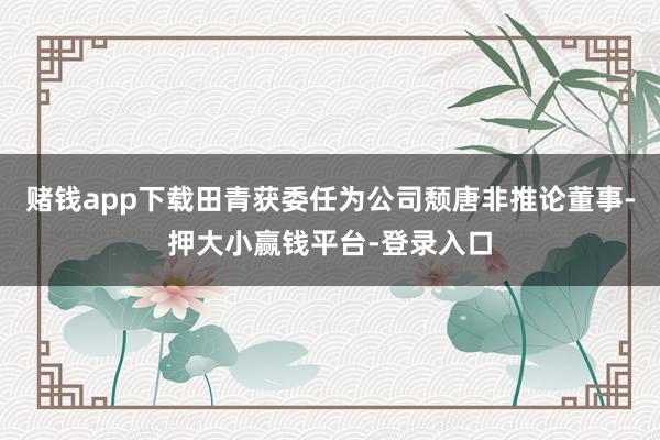 赌钱app下载田青获委任为公司颓唐非推论董事-押大小赢钱平台-登录入口
