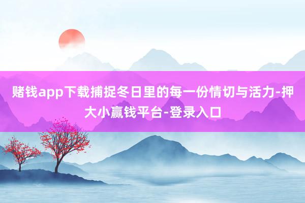赌钱app下载捕捉冬日里的每一份情切与活力-押大小赢钱平台-登录入口