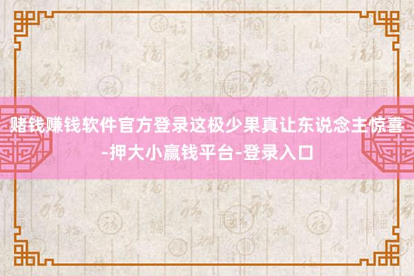 赌钱赚钱软件官方登录这极少果真让东说念主惊喜-押大小赢钱平台-登录入口