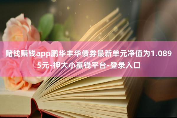 赌钱赚钱app鹏华丰华债券最新单元净值为1.0895元-押大小赢钱平台-登录入口