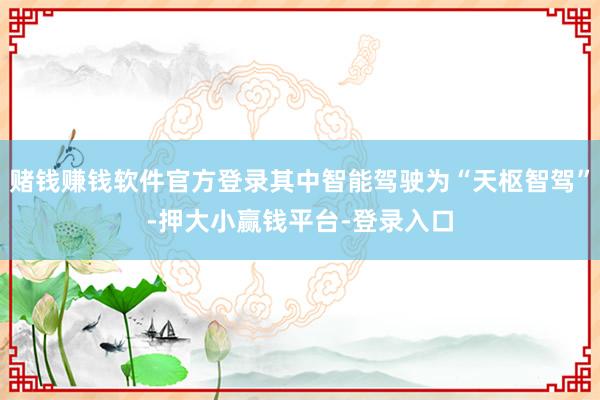 赌钱赚钱软件官方登录其中智能驾驶为“天枢智驾”-押大小赢钱平台-登录入口