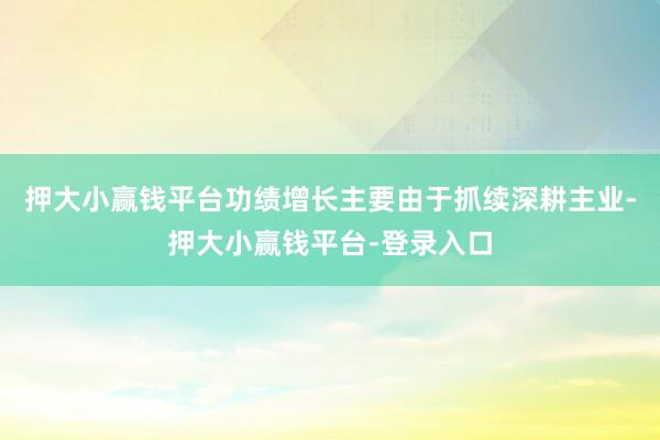押大小赢钱平台功绩增长主要由于抓续深耕主业-押大小赢钱平台-登录入口