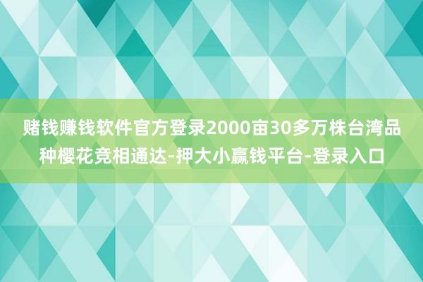 赌钱赚钱软件官方登录2000亩30多万株台湾品种樱花竞相通达-押大小赢钱平台-登录入口