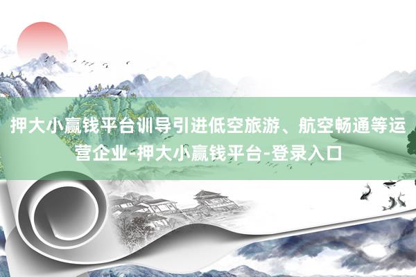 押大小赢钱平台训导引进低空旅游、航空畅通等运营企业-押大小赢钱平台-登录入口