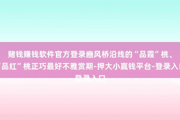 赌钱赚钱软件官方登录豳风桥沿线的“品霞”桃、“品红”桃正巧最好不雅赏期-押大小赢钱平台-登录入口