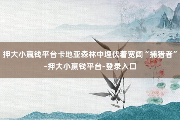 押大小赢钱平台卡地亚森林中埋伏着宽阔“捕猎者”-押大小赢钱平台-登录入口