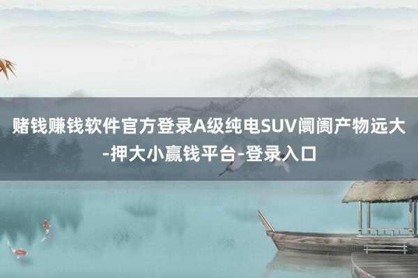 赌钱赚钱软件官方登录A级纯电SUV阛阓产物远大-押大小赢钱平台-登录入口