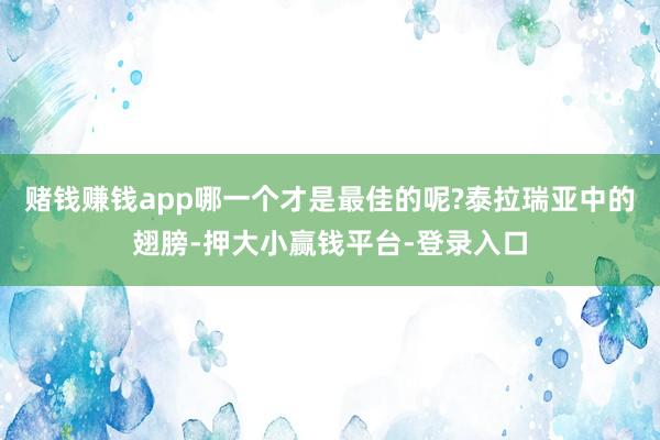 赌钱赚钱app哪一个才是最佳的呢?泰拉瑞亚中的翅膀-押大小赢钱平台-登录入口