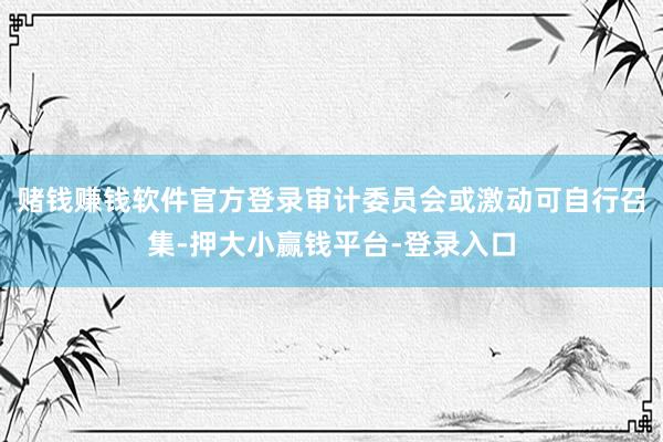 赌钱赚钱软件官方登录审计委员会或激动可自行召集-押大小赢钱平台-登录入口