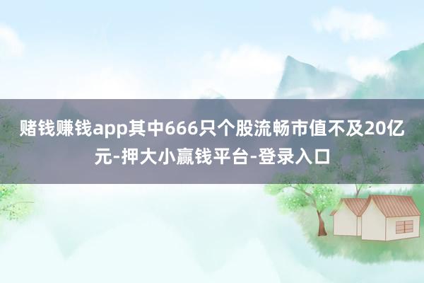 赌钱赚钱app其中666只个股流畅市值不及20亿元-押大小赢钱平台-登录入口