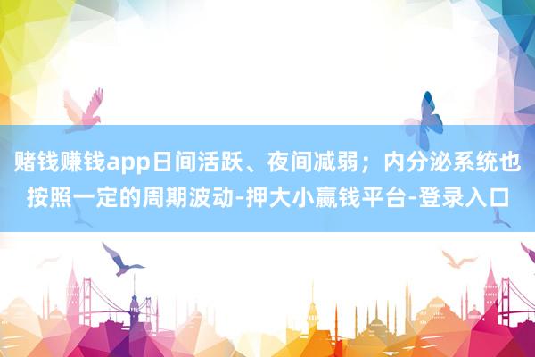 赌钱赚钱app日间活跃、夜间减弱；内分泌系统也按照一定的周期波动-押大小赢钱平台-登录入口