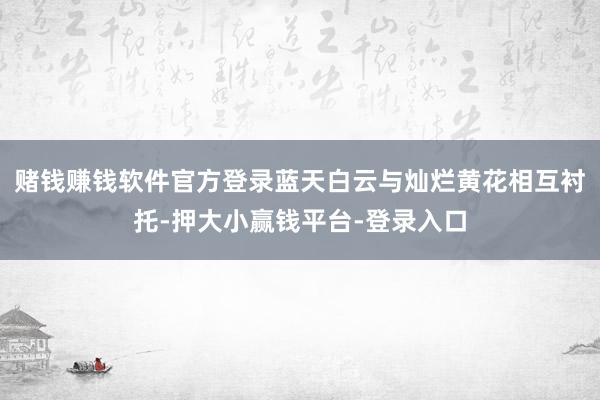 赌钱赚钱软件官方登录蓝天白云与灿烂黄花相互衬托-押大小赢钱平台-登录入口