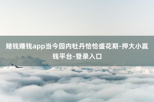 赌钱赚钱app当今园内牡丹恰恰盛花期-押大小赢钱平台-登录入口