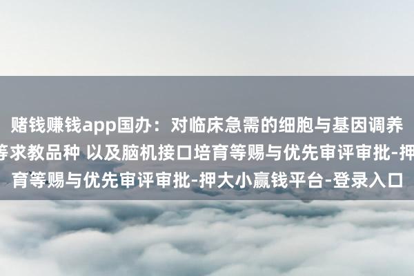 赌钱赚钱app国办：对临床急需的细胞与基因调养药物、境外已上市药品等求教品种 以及脑机接口培育等赐与优先审评审批-押大小赢钱平台-登录入口