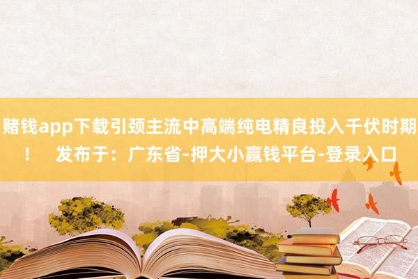 赌钱app下载引颈主流中高端纯电精良投入千伏时期！   发布于：广东省-押大小赢钱平台-登录入口