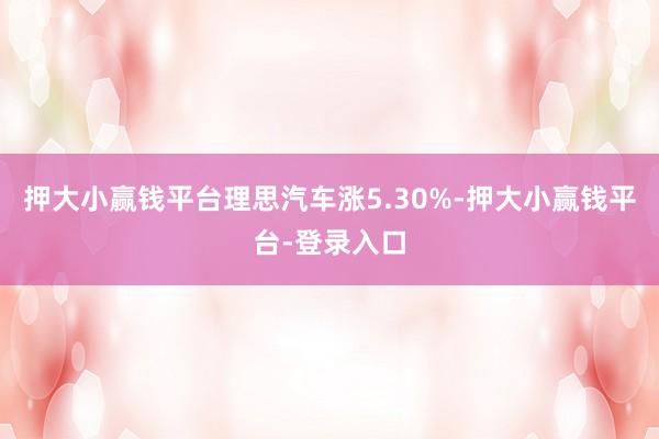 押大小赢钱平台理思汽车涨5.30%-押大小赢钱平台-登录入口