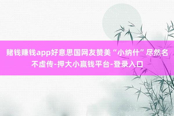 赌钱赚钱app好意思国网友赞美“小纳什”尽然名不虚传-押大小赢钱平台-登录入口