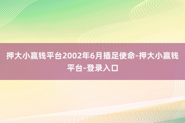 押大小赢钱平台2002年6月插足使命-押大小赢钱平台-登录入口