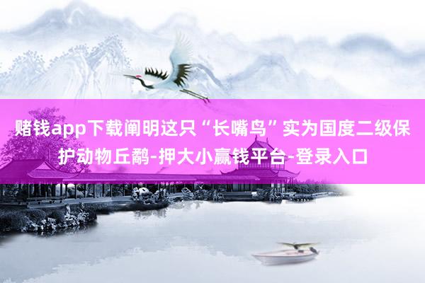 赌钱app下载阐明这只“长嘴鸟”实为国度二级保护动物丘鹬-押大小赢钱平台-登录入口
