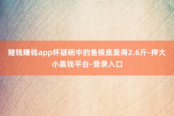 赌钱赚钱app怀疑碗中的鱼根底莫得2.6斤-押大小赢钱平台-登录入口