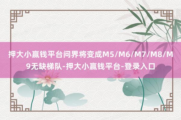 押大小赢钱平台问界将变成M5/M6/M7/M8/M9无缺梯队-押大小赢钱平台-登录入口