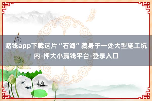 赌钱app下载这片“石海”藏身于一处大型施工坑内-押大小赢钱平台-登录入口