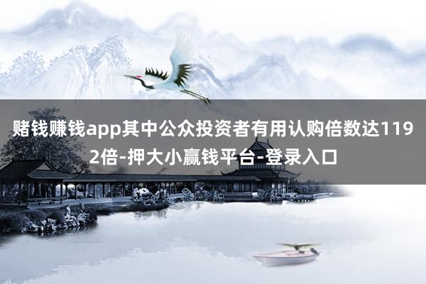 赌钱赚钱app其中公众投资者有用认购倍数达1192倍-押大小赢钱平台-登录入口