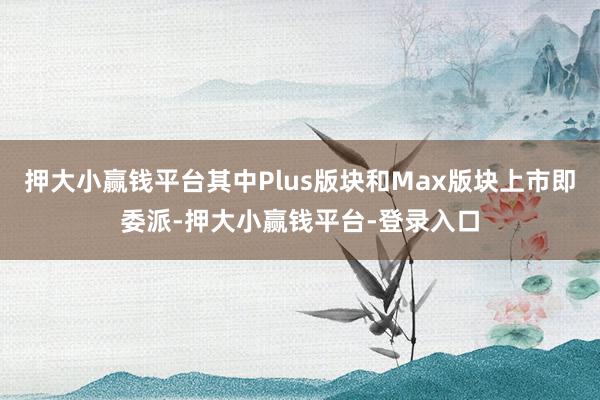 押大小赢钱平台其中Plus版块和Max版块上市即委派-押大小赢钱平台-登录入口