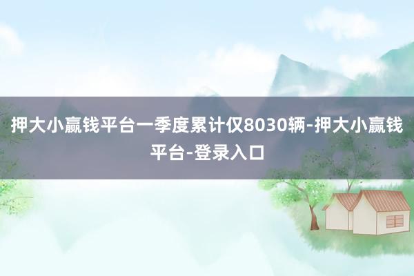 押大小赢钱平台一季度累计仅8030辆-押大小赢钱平台-登录入口