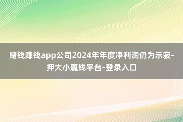 赌钱赚钱app公司2024年年度净利润仍为示寂-押大小赢钱平台-登录入口